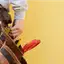 Handyman repair service in Aurora, IL for home fixes and improvements